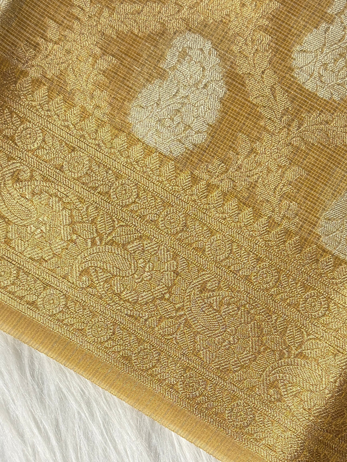 Mustard Gold Kora Tissue Banarasi Saree with Traditional Pallu